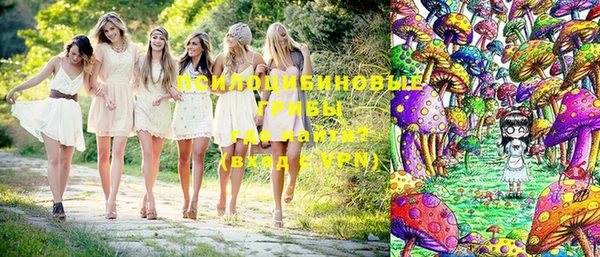 PSILOCYBIN Краснотурьинск