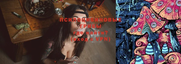 прущий лед Алзамай