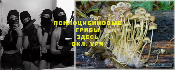 прущий лед Алзамай