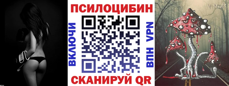 где купить наркоту  Анжеро-Судженск  Псилоцибиновые грибы Psilocybe 